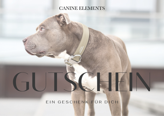 Geschenkgutschein Digital