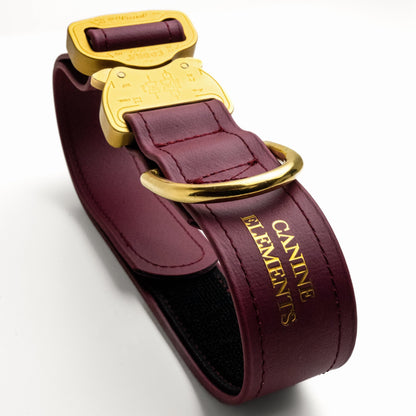 SAFETY Eco Dog Collar - SIENA