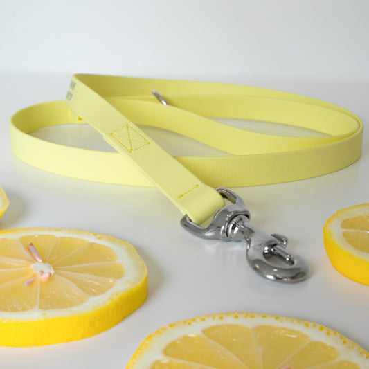 ECO dog leash - SORRENTO