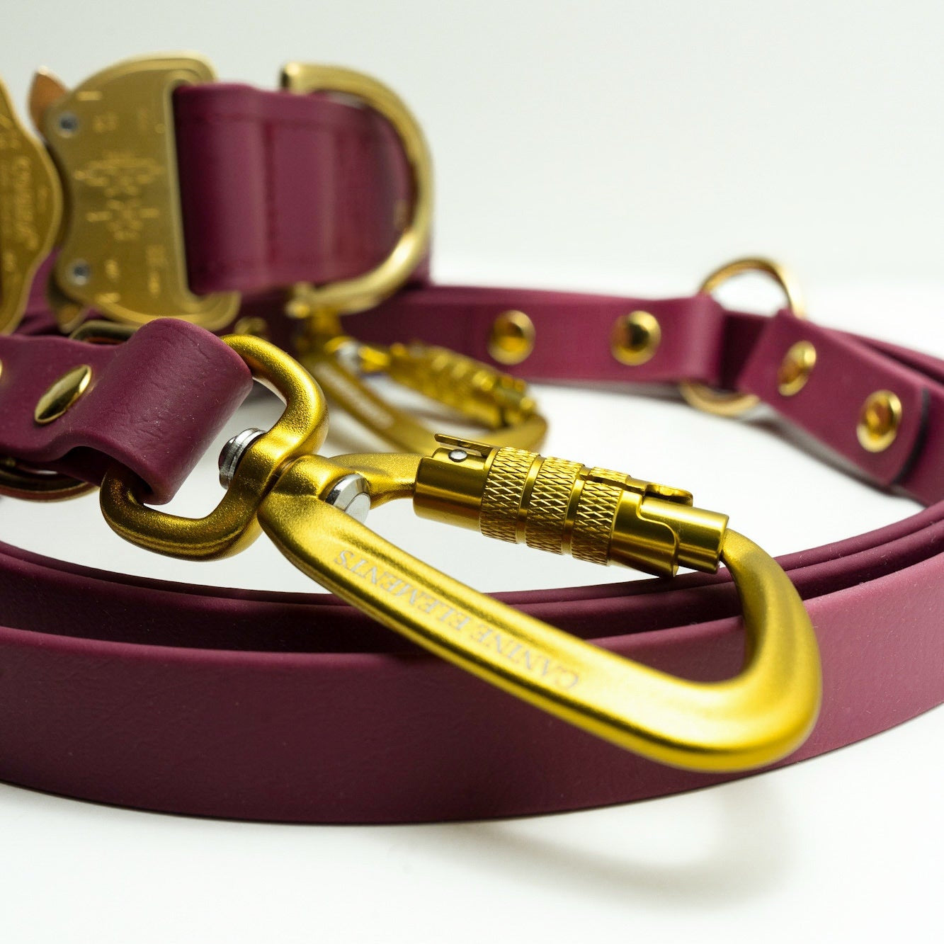 SAFETY Eco Dog Collar - SIENA