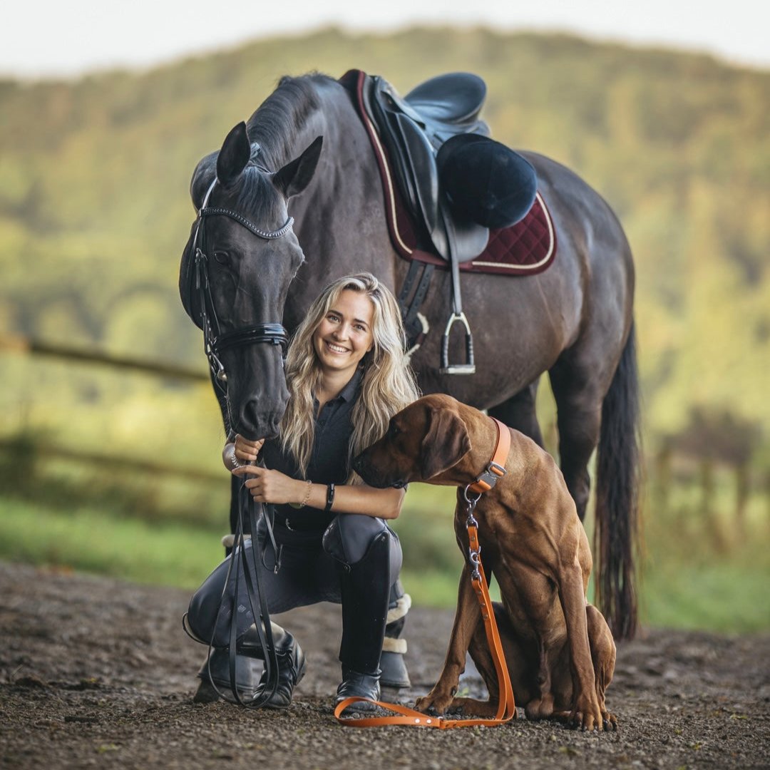 SAFETY Eco Hundehalsband - TORINO x die.ridgeback.dame (limited edition)