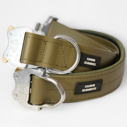 SAFETY Pro Halsband - ALBA (Limited Autumn Edition)